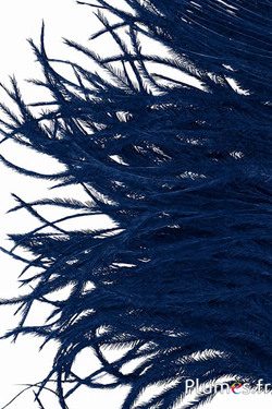 Struisvogel  baardjes - 8-15 cm - donkerblauw